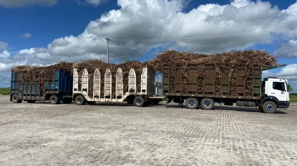 PRF flagra caminhão com 26 toneladas de excesso- A Polícia Rodoviária Federal (PRF) iniciou, na última segunda-feira (18)